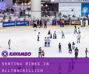 Skating Rinks in Alltnacaillich
