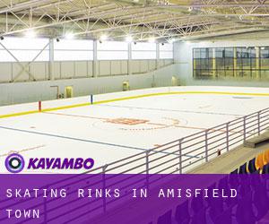 Skating Rinks in Amisfield Town Skating Rinks in Amisfield Town