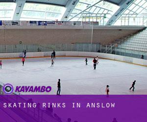 Skating Rinks in Anslow