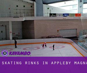 Skating Rinks in Appleby Magna