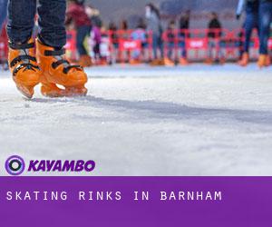 Skating Rinks in Barnham