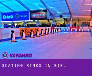 Skating Rinks in Biel Skating Rinks in Biel