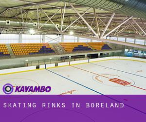 Skating Rinks in Boreland