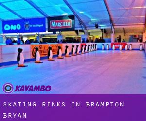 Skating Rinks in Brampton Bryan Skating Rinks in Brampton Bryan