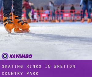 Skating Rinks in Bretton Country Park