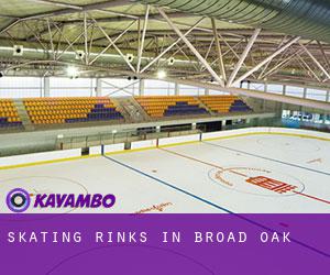 Skating Rinks in Broad Oak Skating Rinks in Broad Oak