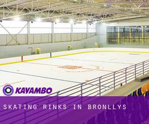 Skating Rinks in Bronllys