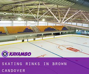 Skating Rinks in Brown Candover