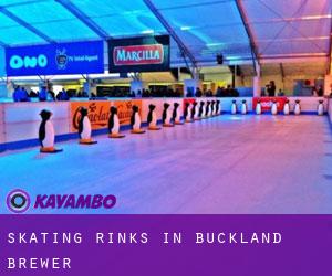 Skating Rinks in Buckland Brewer