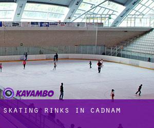 Skating Rinks in Cadnam