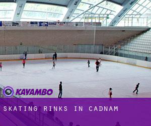 Skating Rinks in Cadnam Skating Rinks in Cadnam