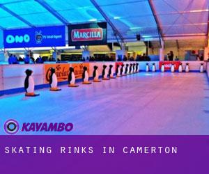 Skating Rinks in Camerton