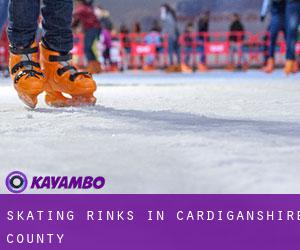 Skating Rinks in Cardiganshire County