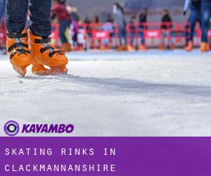 Skating Rinks in Clackmannanshire