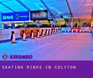 Skating Rinks in Colyton