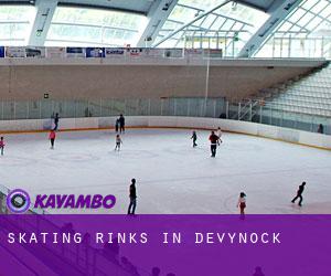 Skating Rinks in Devynock