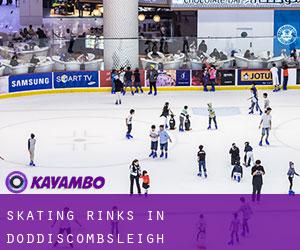 Skating Rinks in Doddiscombsleigh