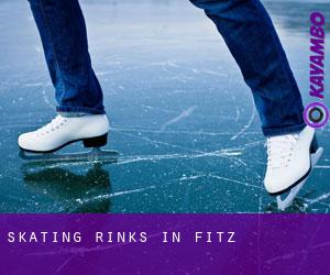 Skating Rinks in Fitz