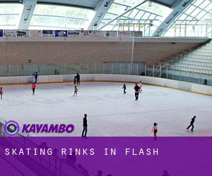 Skating Rinks in Flash