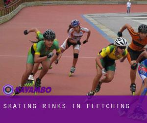 Skating Rinks in Fletching