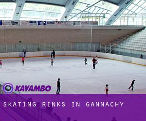 Skating Rinks in Gannachy