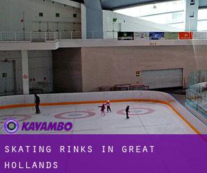 Skating Rinks in Great Hollands