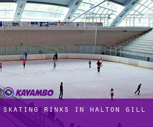 Skating Rinks in Halton Gill