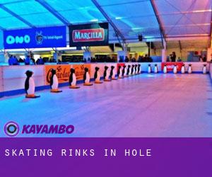 Skating Rinks in Hole