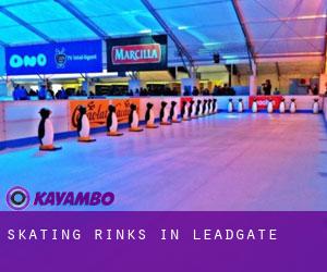 Skating Rinks in Leadgate
