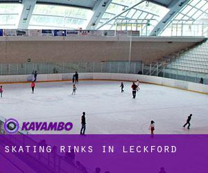Skating Rinks in Leckford