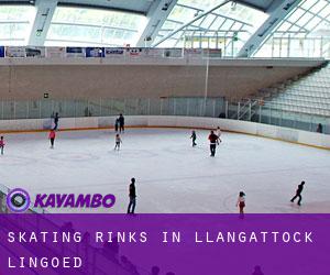 Skating Rinks in Llangattock Lingoed