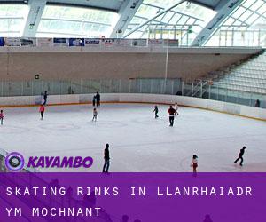 Skating Rinks in Llanrhaiadr-ym-Mochnant