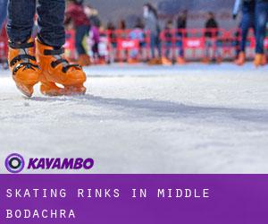 Skating Rinks in Middle Bodachra