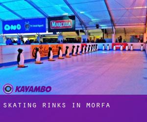 Skating Rinks in Morfa