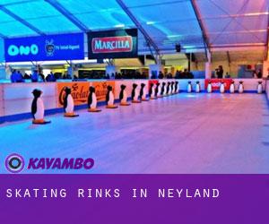 Skating Rinks in Neyland