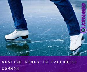 Skating Rinks in Palehouse Common