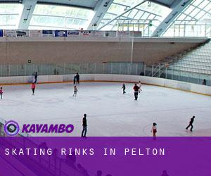 Skating Rinks in Pelton