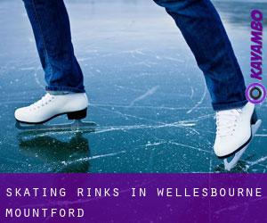 Skating Rinks in Wellesbourne Mountford