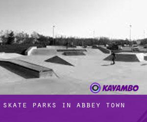 Skate Parks in Abbey Town