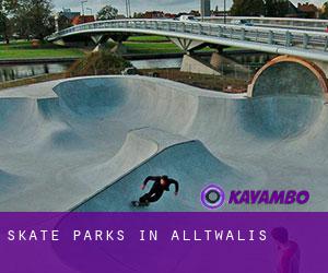 Skate Parks in Alltwalis