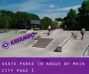 Skate Parks in Angus by main city - page 1