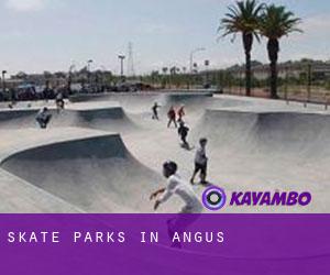 Skate Parks in Angus