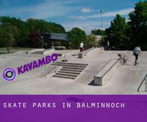 Skate Parks in Balminnoch