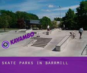Skate Parks in Barrmill