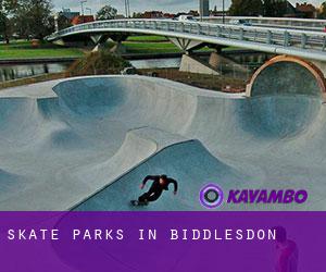 Skate Parks in Biddlesdon