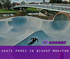 Skate Parks in Bishop Monkton