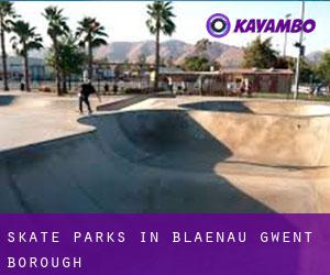 Skate Parks in Blaenau Gwent (Borough)