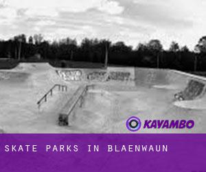 Skate Parks in Blaenwaun