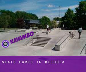 Skate Parks in Bleddfa