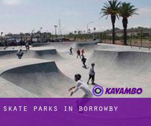 Skate Parks in Borrowby
